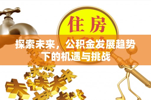 息烽探索未来，公积金发展趋势下的机遇与挑战