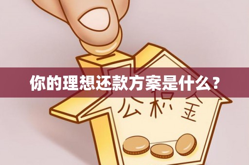 息烽你的理想还款方案是什么？